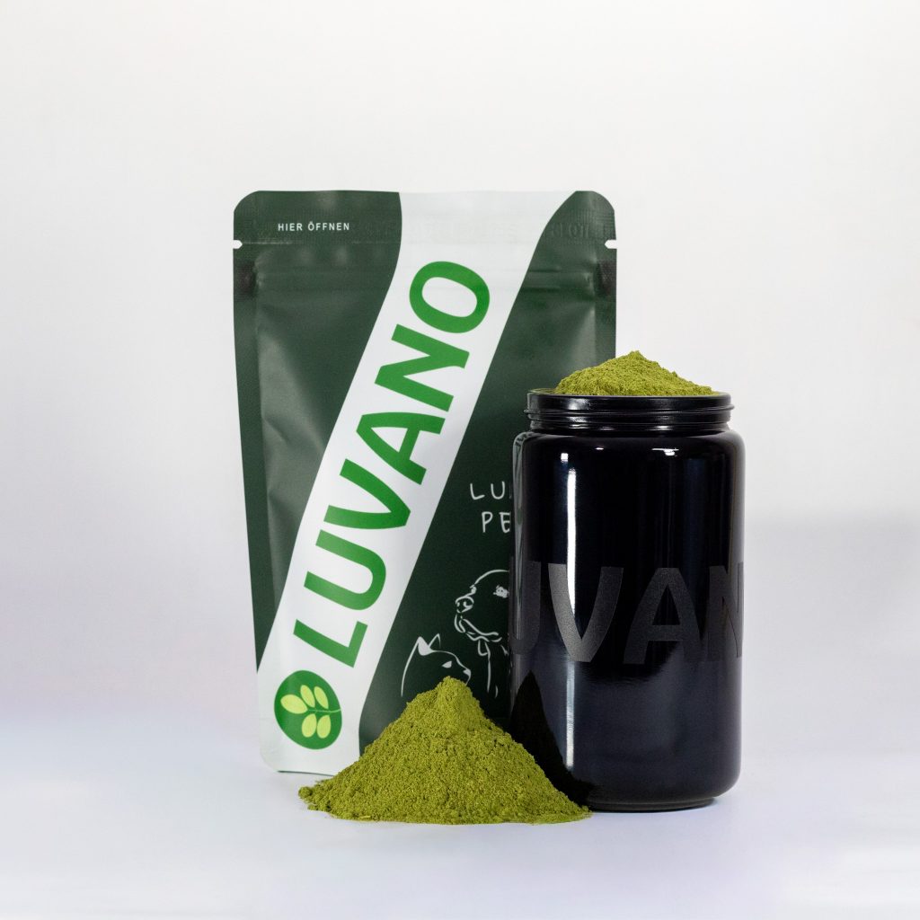 Luvano Ergänzungsfuttermittel für Hunde als grünes Pulver in schwarzem Violettglasbehälter mit Produktverpackung