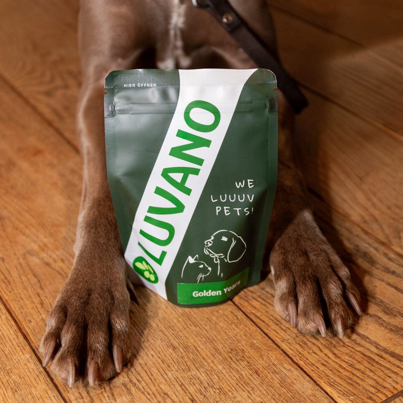 Hund liegt neben Luvano Nahrungsergänzungsmittel für Hunde – tägliche Unterstützung für Gesundheit und Wohlbefinden